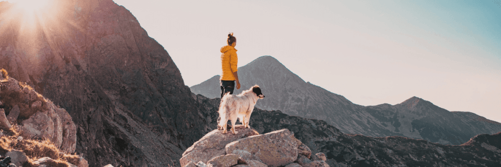 best dog friendly national parks
