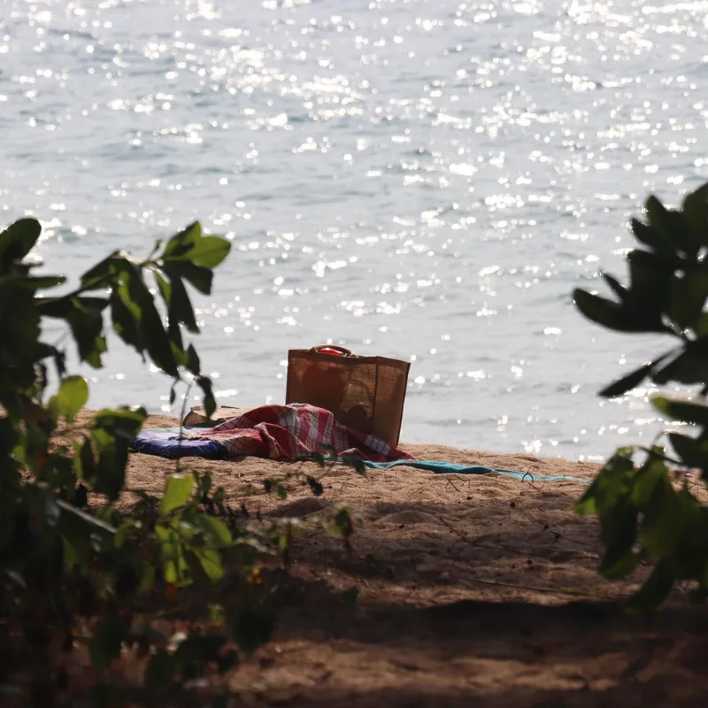beach picnic