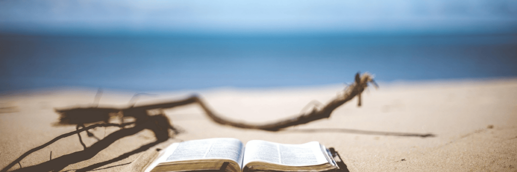 best beach reads