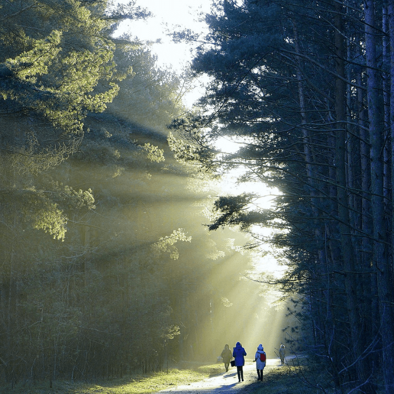 outdoor workout nutrition