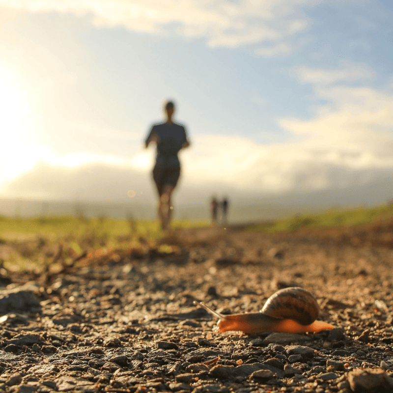 beginner trail running