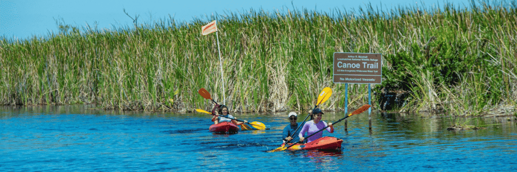 nature and friendship benefits