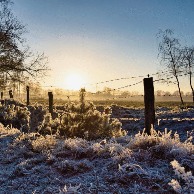 shorter days motivation