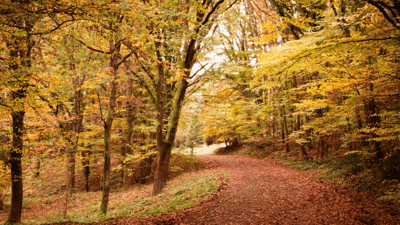 fall hiking tips