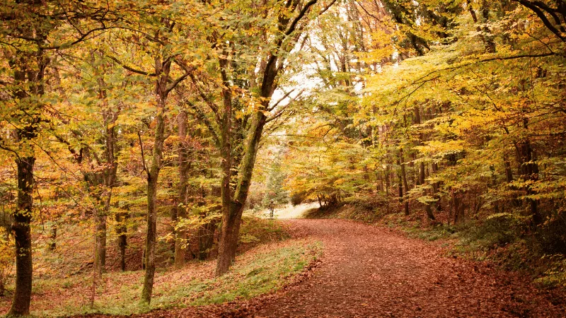 fall hiking tips