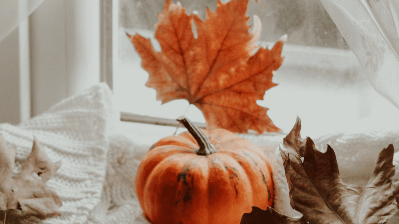 fall weekend ideas outside
